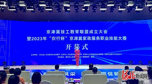 2023年農(nóng)行杯京津冀家政服務(wù)職業(yè)技能大賽 信息技術(shù)咨詢服務(wù)的創(chuàng)新應(yīng)用